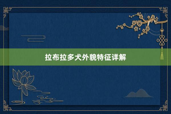 拉布拉多犬外貌特征详解