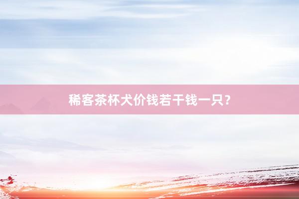 稀客茶杯犬价钱若干钱一只？